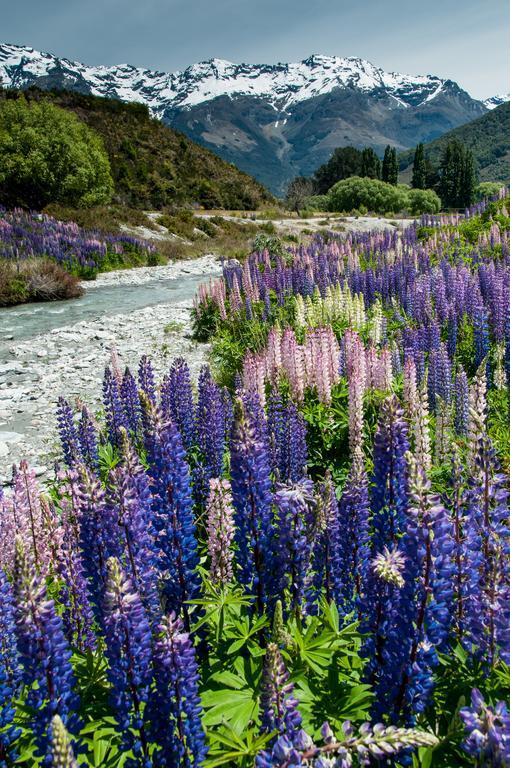 Glenorchy Peaks Bed And Breakfast מראה חיצוני תמונה